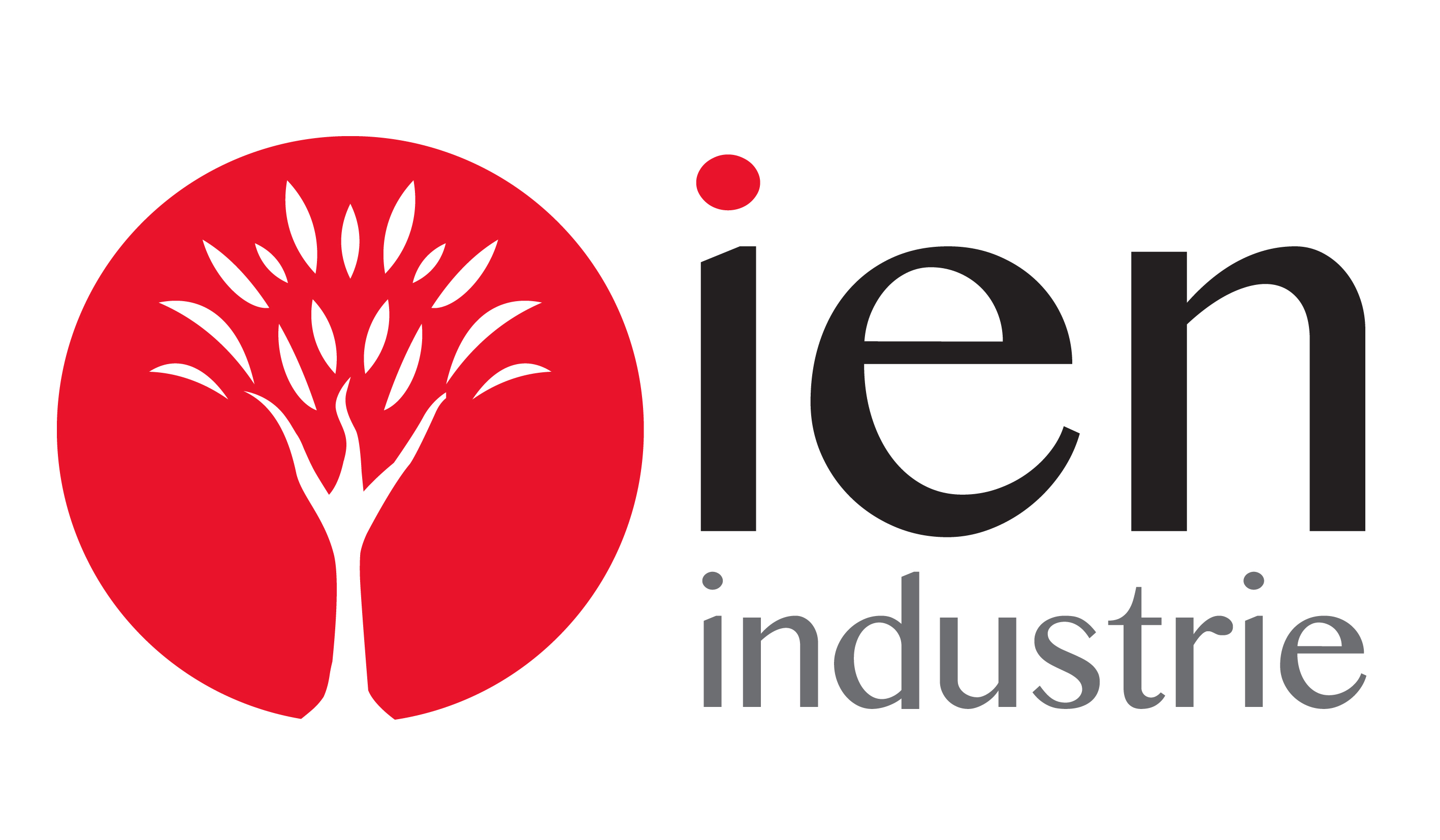 ien industrie 1